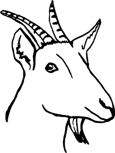 Goat Head