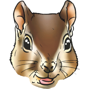 Squirrel Face