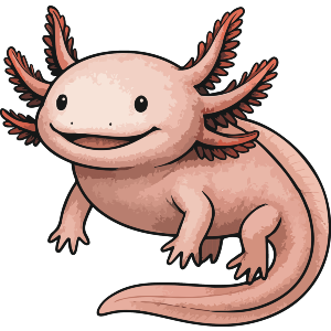 Cute Axolotl