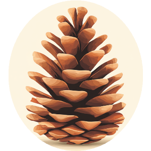 Autumn Pine Cone