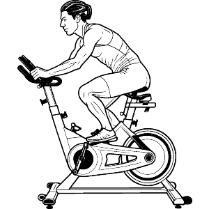 Spin Bike