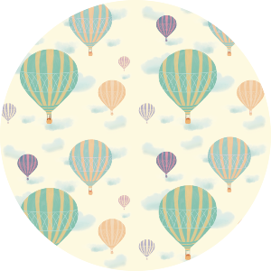Hot Air Balloons
