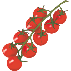 Vine Tomatoes