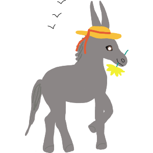  Donkey 