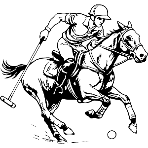 Polo Game