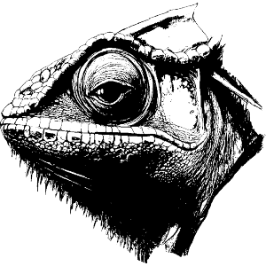 Chameleon Portrait Side View