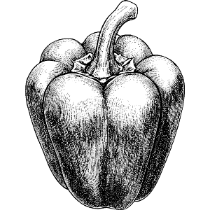 Single Bell Pepper