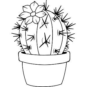 Potted Cactus