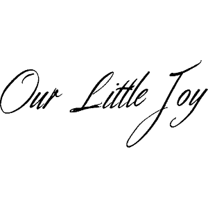 Our Little Joy
