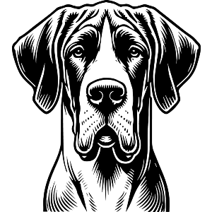 Great Dane
