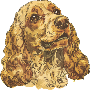 Cocker Spaniel Dog Portrait