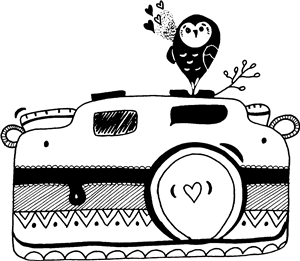 Owl Heart Camera