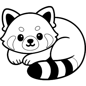 Cute Red Panda