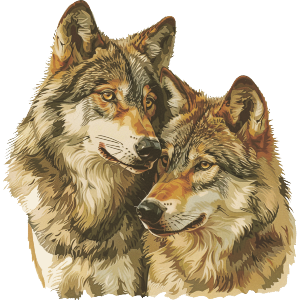 Wolf Couple