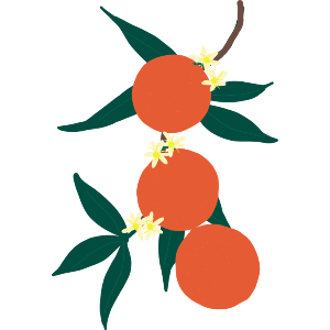 Oranges And Blossom 