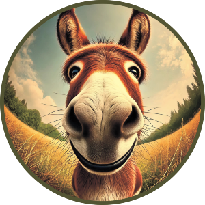 Smiling Donkey