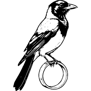 Magpie Stealing Ring