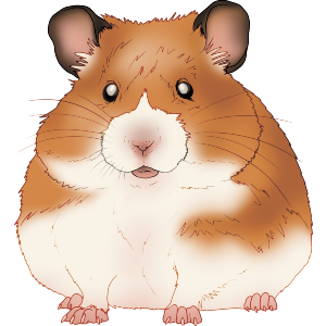 Chubby Hamster