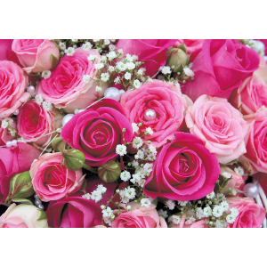 Pink Bouquet Of Roses