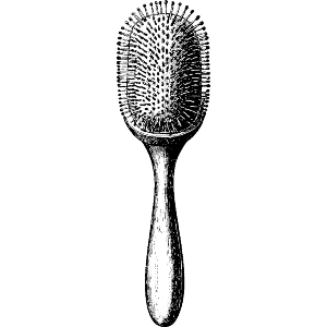 Single Hairbrush