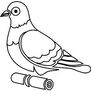 Carrier Pigeon