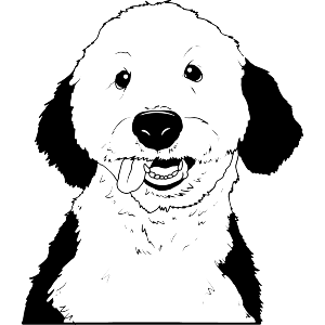 Happy Labradoodle