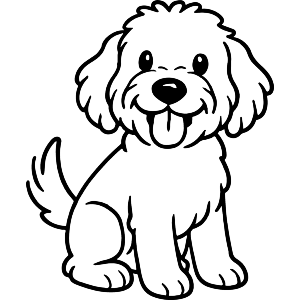 Happy Sitting Cockapoo