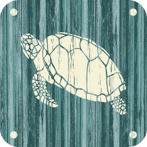 Turtle On Blue Weatherboard