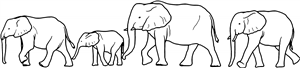 Elephant Family