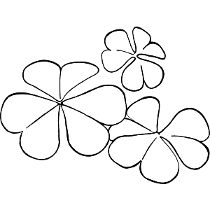 Clover Shamrock