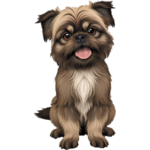Brussels Griffon Dog