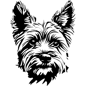 Yorkshire Terrier Portrait