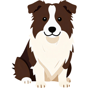 Simple Border Collie