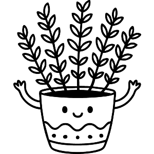 Thyme in a plant pot
