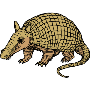 Giant Armadillo