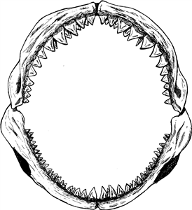 Shark Jaws