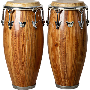Conga Drums
