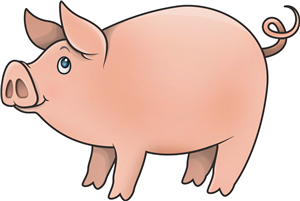 Pig