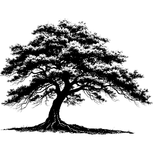 Old Tree