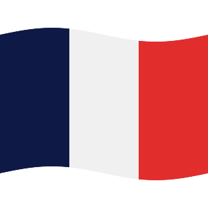 Waving French Flag