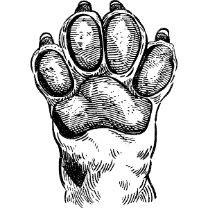Dog Paw