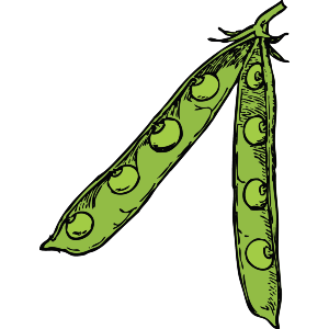 Peas and Pod