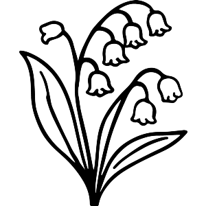 Lily of the Valley Flower