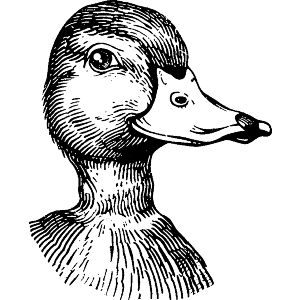 Duck Portrait