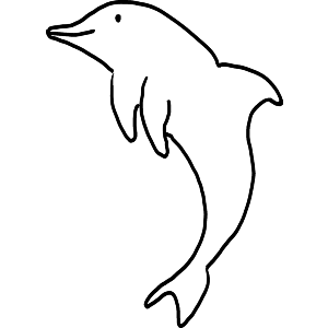 Dolphin