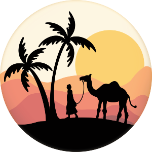 Desert Camel Scene