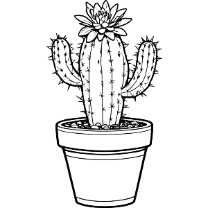 Cactus In Pot
