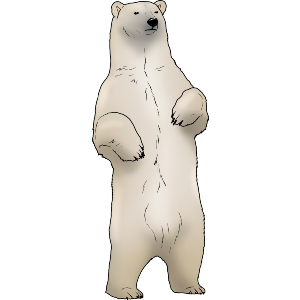 Standing Polar Bear