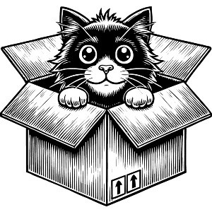 Cat In A Box