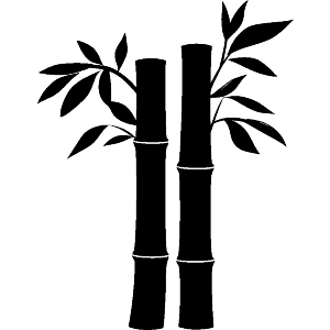 Cane Reed